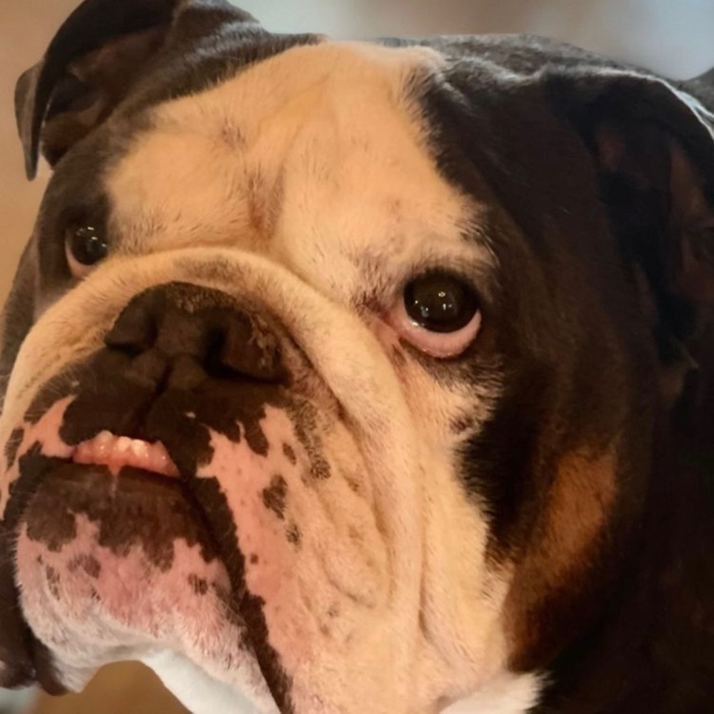 Meet your Posher, Victoria